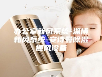 企业新闻办公室新风系统-淄博新风系统-安诗曼除湿通风设备