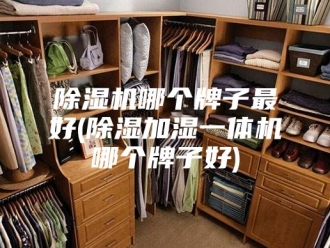 企业新闻除湿机哪个牌子最好(除湿加湿一体机哪个牌子好)