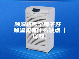 企业新闻除湿机哪个牌子好 除湿机有什么缺点【详解】