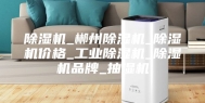 除湿机_郴州除湿机_除湿机价格_工业除湿机_除湿机品牌_抽湿机
