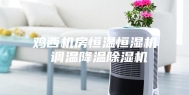 鸡西机房恒温恒湿机 调温降温除湿机