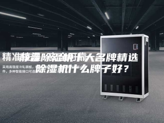 企业新闻静音除湿机十大名牌精选 除湿机什么牌子好？