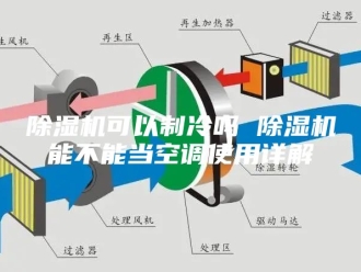 企业新闻除湿机可以制冷吗 除湿机能不能当空调使用详解