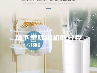 行业新闻地下室除湿机的分类
