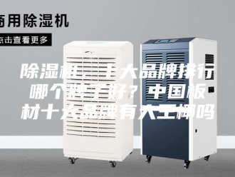 企业新闻除湿机，十大品牌排行哪个牌子好？中国板材十大品牌有大王椰吗