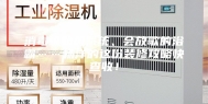 消毒级新风系统、会放歌的浴霸……杨洋的这份装修攻略快查收！