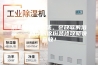 消毒级新风系统、会放歌的浴霸……杨洋的这份装修攻略快查收！